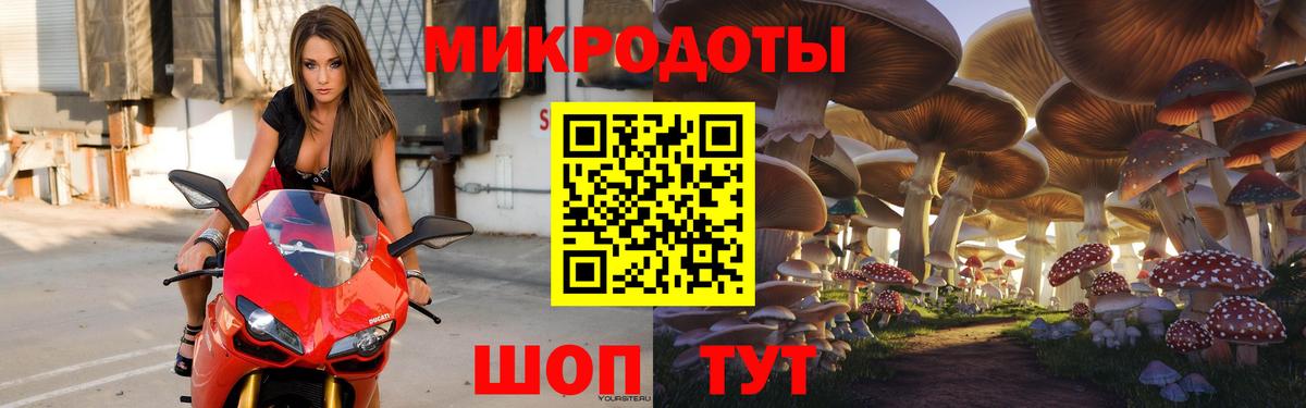 Псилоцибиновые грибы мицелий Златоуст